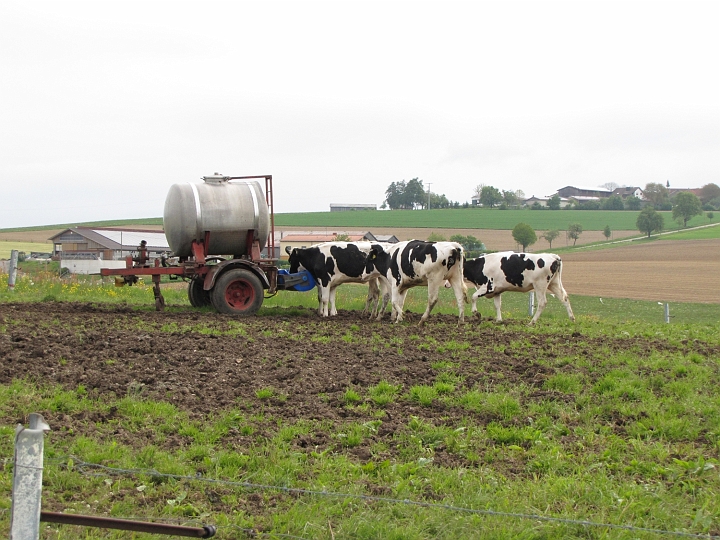 Wanderung 2014_013.jpg